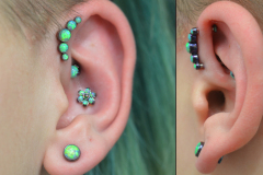 Felix-Cluster-conch-lobe-and-vertical-conch