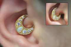 14kt-Gold-Boston-Tiger-Daith