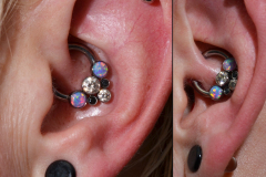 Anatometal-Cluster-Daith-Discs