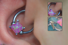 Custom-daith-opal-captive