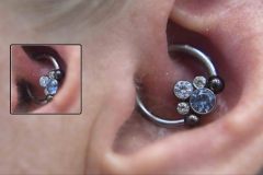 Daith-14g-half-inch-with-Anatometla-cluster