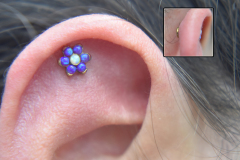 Helix-Opal-Flower-Healed