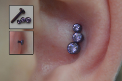 Anatometal-conch-cluster