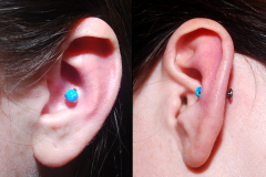 Blue-opal-inner-conch