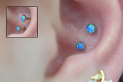 Double-Inner-Conch-Neometal