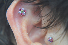 Anatometal-flower-conch