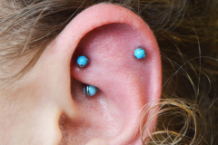 Turquoise-Rook