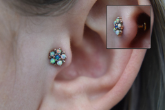 14kt-Aria-Tragus