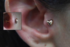 14kt-BVLA-Tragus-Bubble-Heart