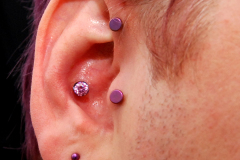 Forward-helix-tragus-and-conch