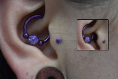 Healed-Purple-Daith-and-Healed-Purple-Tragus