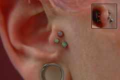 Triple-Tragus