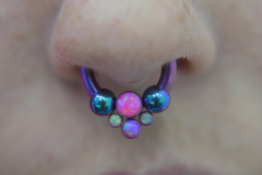 10g-Septum-Cluster