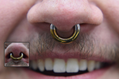 4g-Septum-Segment-Bronze-Dipped-