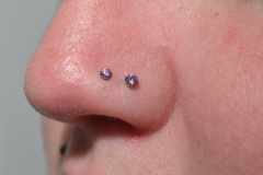 Double-Lavender-Nostril