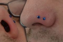 Dual-Noemetal-Nostril-Discs