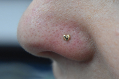 BVLA-14kt-Bubble-Heart-Nostril