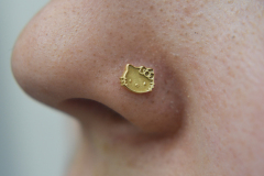 Hello-Kitty-Nostril