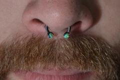 Green-on-Purple-septum