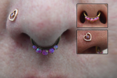 BVLA-Nostril-and-IS-Septum-Clicker-Gold