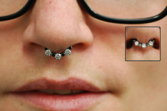 Black-and-white-IS-Septum-Clicker