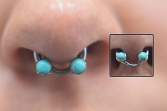 12g-Anatometal-FFCBB