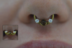 12g-Front-Facing-Septum-with-Tigers-eye