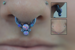 12g-Septum-Cluster-with-16g-behind