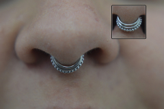 White-Gold-Septum