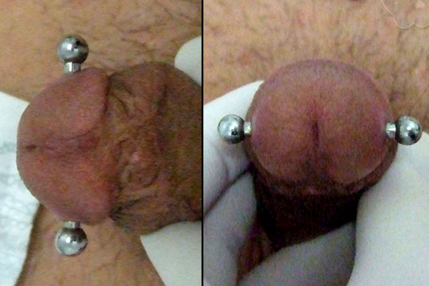 Piercing genital hombre