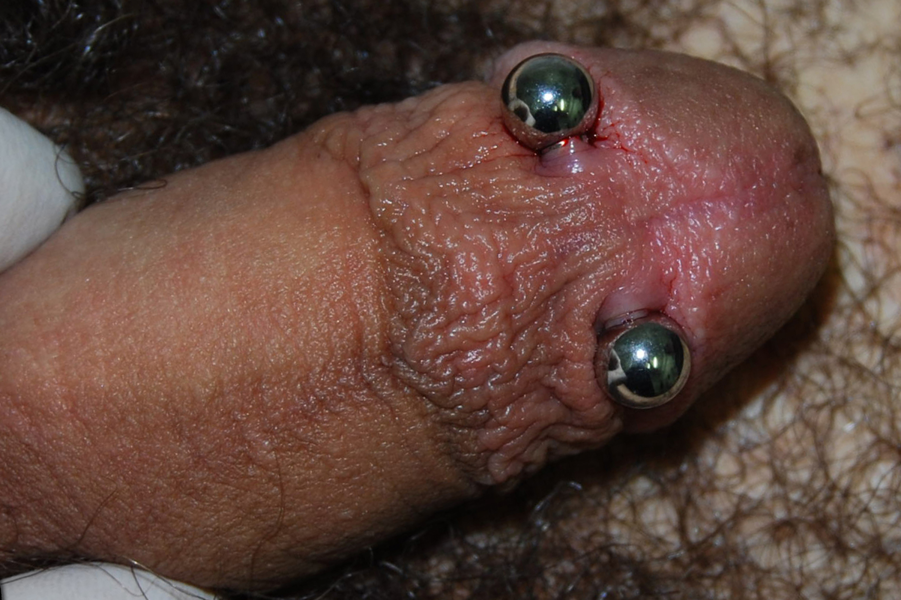 Piercing genital hombre