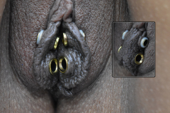 Labia-Minora-Gold-Eyelets