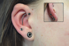 Felix-to-conch-industrial-with-seperate-lobe