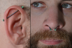 Septum-and-Industrial