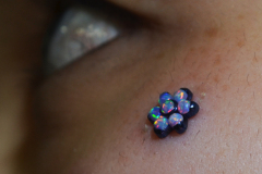 Opal-Flowers-under-eye