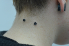 Side-neck-black-obsydian-dermals