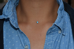 Blue-Sternum-Anchor