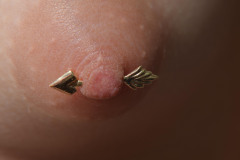 BodyGems-14kt-Gold-Nipple-Arrow