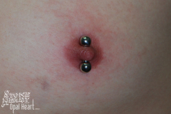 8g-Vertical-Nipple